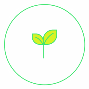 Image: Novata | Careers